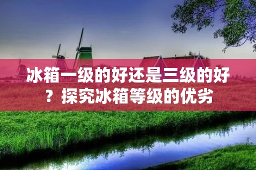 冰箱一级的好还是三级的好?探究冰箱等级的优劣 冰箱一级的好还是三级的好?探究冰箱等级的优劣