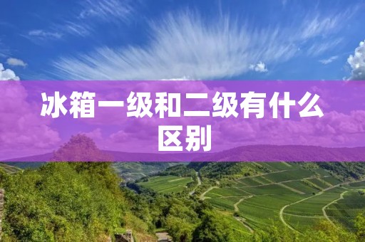 冰箱一级和二级有什么区别