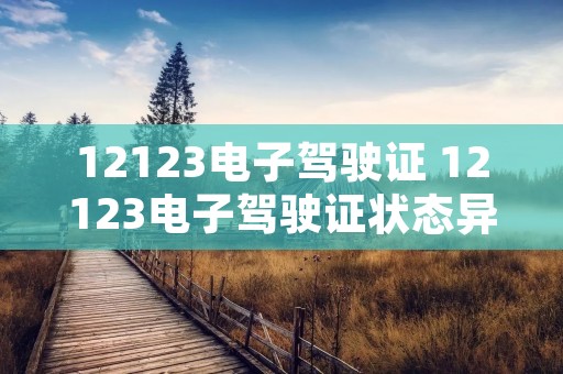 12123电子驾驶证 12123电子驾驶证状态异常