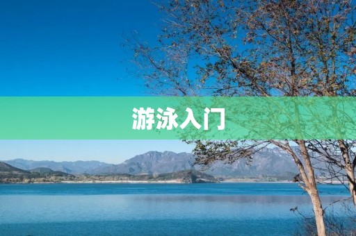 游泳入门：从零基础到水中自如