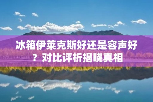 冰箱伊莱克斯好还是容声好？对比评析揭晓真相