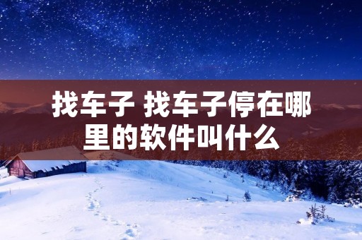 找车子 找车子停在哪里的软件叫什么