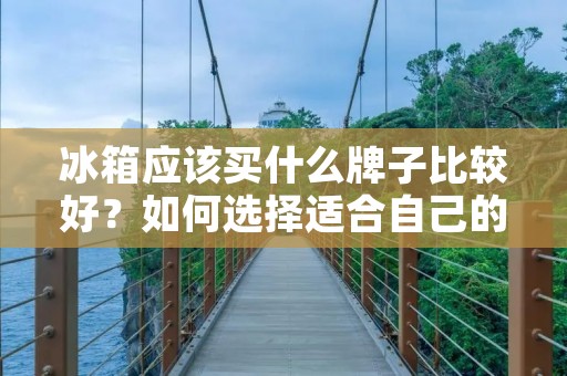 冰箱应该买什么牌子比较好?如何选择适合自己的冰箱? 冰箱应该买什么牌子比较好?如何选择适合自己的冰箱?