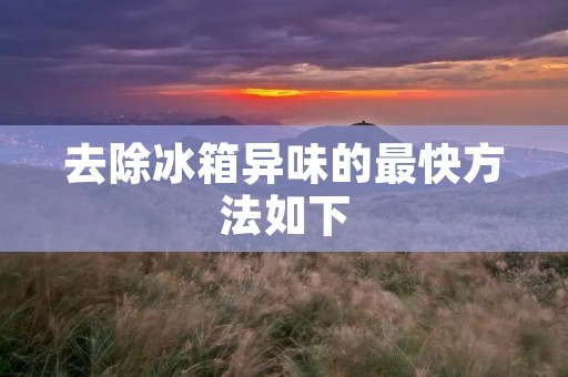 去除冰箱异味的最快方法如下