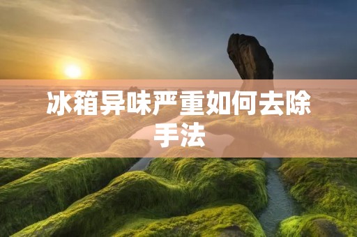 冰箱异味严重如何去除手法