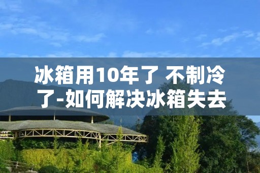 冰箱用10年了 不制冷了-如何解决冰箱失去制冷功能的问题