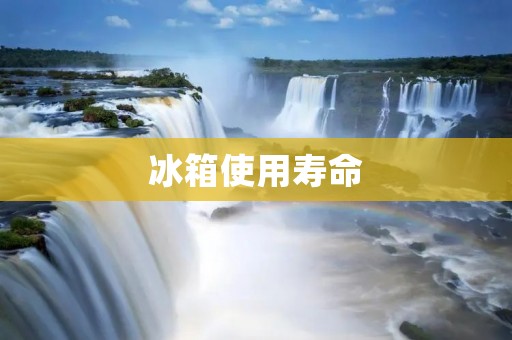 冰箱使用寿命:多久需要更换新的? 冰箱使用寿命:多久需要更换新的?
