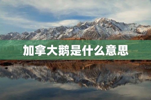 加拿大鹅是什么意思:详细解析