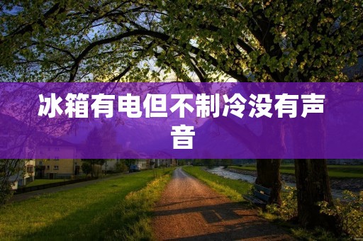 冰箱有电但不制冷没有声音：可能的原因及解决方法