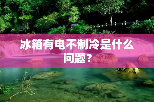 冰箱有电不制冷是什么问题？