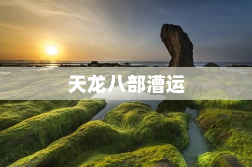天龙八部漕运:历史背景、影响与文化意义