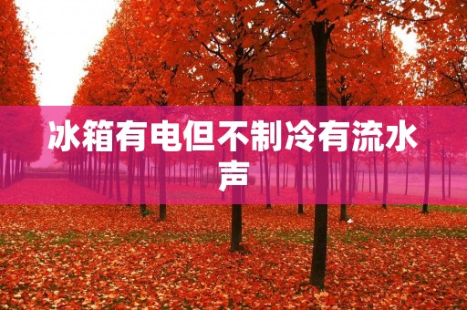 冰箱有电但不制冷有流水声：怎样解决冰箱故障及排水问题