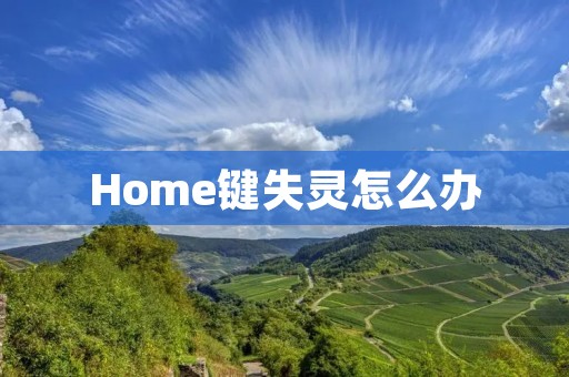 Home键失灵怎么办