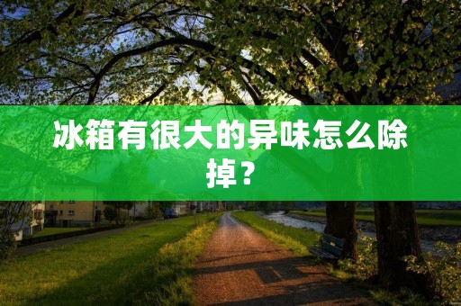 冰箱有很大的异味怎么除掉？