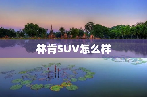 林肯SUV怎么样