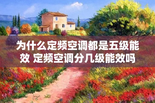 为什么定频空调都是五级能效 定频空调分几级能效吗