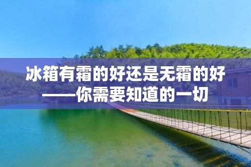 冰箱有霜的好还是无霜的好——你需要知道的一切