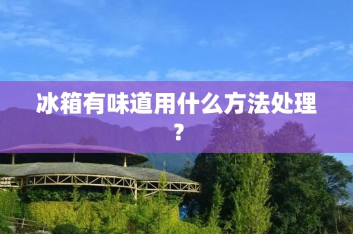 冰箱有味道用什么方法处理？