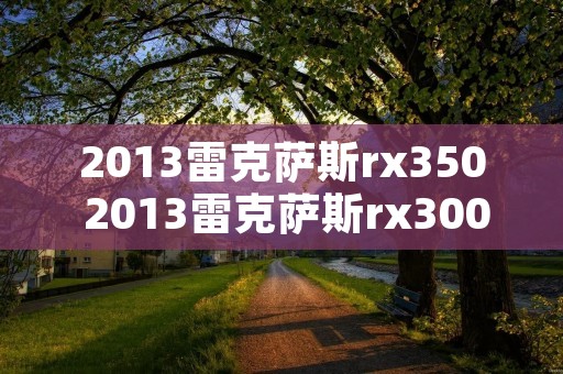 2013雷克萨斯rx350 2013雷克萨斯rx300卖多少钱