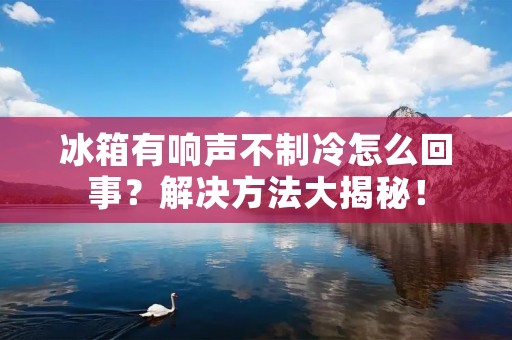 冰箱有响声不制冷怎么回事？解决方法大揭秘！