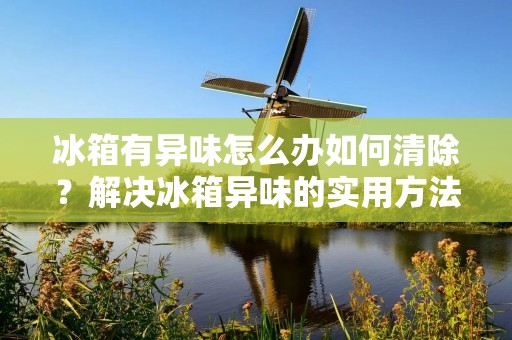 冰箱有异味怎么办如何清除？解决冰箱异味的实用方法！