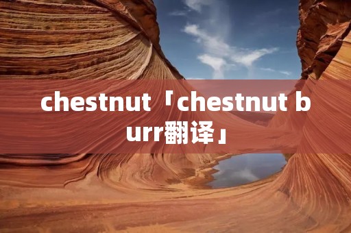 chestnut「chestnut burr翻译」