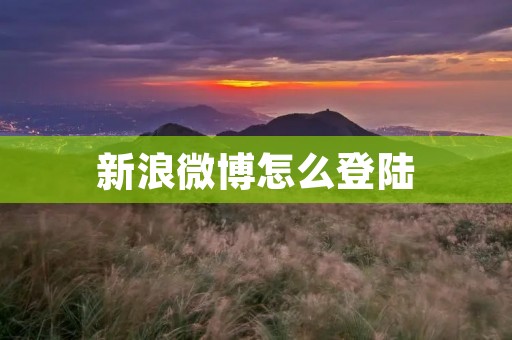 新浪微博怎么登陆