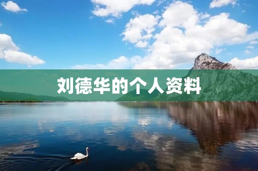 刘德华的个人资料:娱乐界巨星的辉煌征程