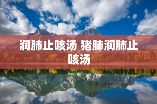 润肺止咳汤 猪肺润肺止咳汤