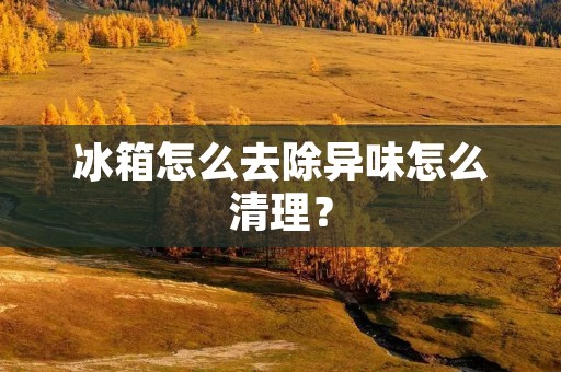 冰箱怎么去除异味怎么清理？