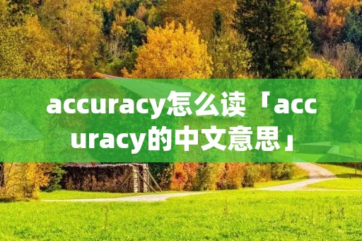 accuracy怎么读「accuracy的中文意思」