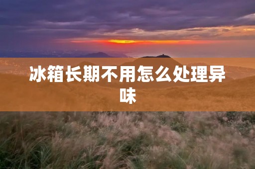 冰箱长期不用怎么处理异味