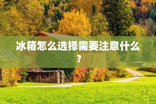 冰箱怎么选择需要注意什么？