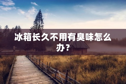 冰箱长久不用有臭味怎么办？