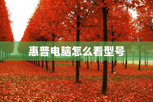 惠普电脑怎么看型号