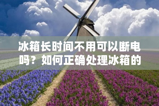 冰箱长时间不用可以断电吗？如何正确处理冰箱的长期不使用？