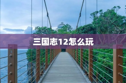 三国志12怎么玩