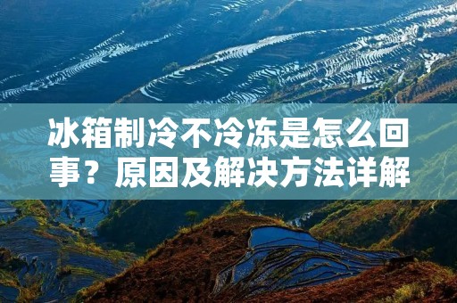 冰箱制冷不冷冻是怎么回事？原因及解决方法详解