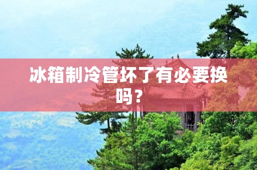 冰箱制冷管坏了有必要换吗？