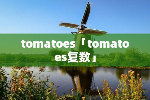 tomatoes「tomatoes复数」 tomatoes「tomatoes复数」