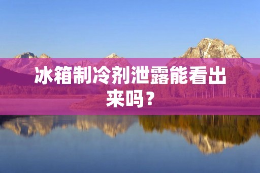冰箱制冷剂泄露能看出来吗？