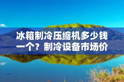 冰箱制冷压缩机多少钱一个?制冷设备市场价格调查与分析 冰箱制冷压缩机多少钱一个?制冷设备市场价格调查与分析