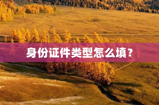 身份证件类型怎么填?