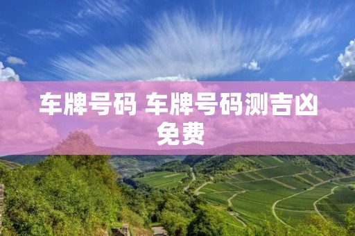车牌号码 车牌号码测吉凶 免费 车牌号码 车牌号码测吉凶 免费
