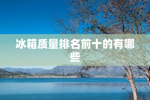 冰箱质量排名前十的有哪些 冰箱质量排名前十的有哪些