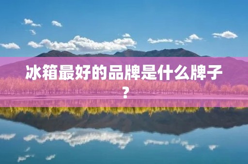冰箱最好的品牌是什么牌子? 冰箱最好的品牌是什么牌子?