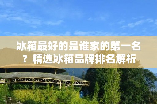 冰箱最好的是谁家的第一名?精选冰箱品牌排名解析 冰箱最好的是谁家的第一名?精选冰箱品牌排名解析