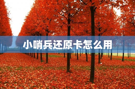 小哨兵还原卡怎么用