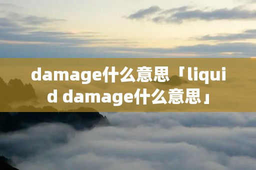 damage什么意思「liquid damage什么意思」