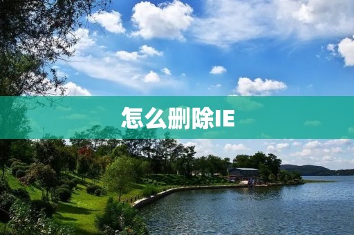 怎么删除IE